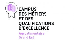Logo Campus des Métiers et des Qualifications Agroalimentaire Grand Est - CMQe AGE