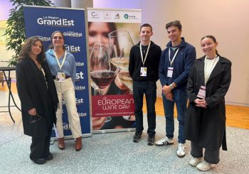 European Wine Day 2025 : Une immersion au cœur des enjeux viticoles européens pour nos étudiants